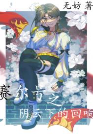 赛尔号之阴云下的回响