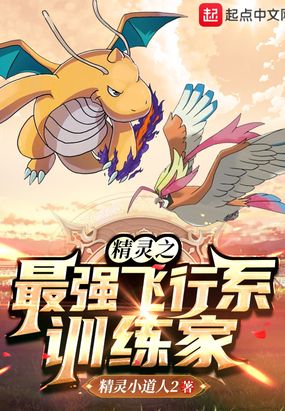 精灵之最强飞行系训练家