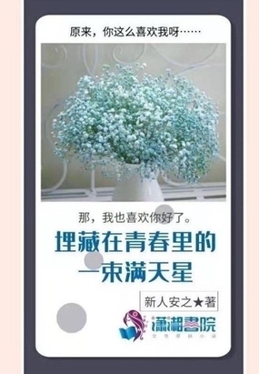 埋藏在青春里的一束满天星